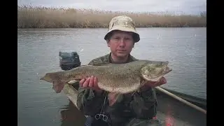 Ловля Жереха. Ловля Жереха в Мутной Воде.