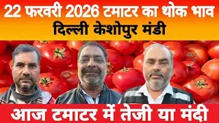 22 Feb 2026 Delhi 🍅 टमाटर होलसेल भाव | Keshopur Mandi | Today Tomato Rate #tamatar #tamatarmandi