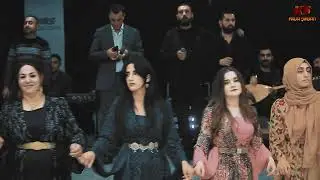 Kava Şirvan - Yüksekova Oremmari Aşireti Düğünü  [ 2023© ]