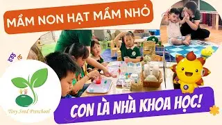 Học lập tr&igrave;nh robot v&agrave; s&aacute;ng tạo STEAM c&ugrave;ng SUNBOT tại Trường Mầm non Hạt Mầm Nhỏ - TP. Hạ Long