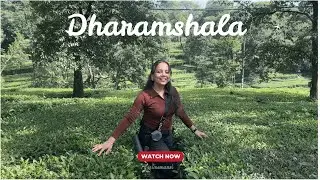 Dharamshala Vlog in Budget |Tea Gardens |Mahadev and Chamunda Temple Naddi View & More!