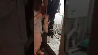 Angry Cat Dont Want to take a bath