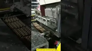 Large capacity egg tray making production line #eggtray #eggtraymakingmachine #paperpulpmolding