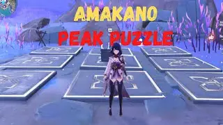 Amakuno Peak Water Level Step Puzzle | Genshin Impact