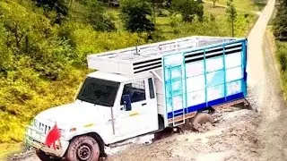 Animal Cargo Truck Driving Game 3D-Animal Transport Cargo Truck 3D-Android Game play