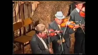 Magyarpalatkai Zenekar koncertje a Pécsi Folkfesztiválon 1990.10.13.