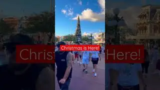 Christmas is here! #disneychristmas #magickingdom #mainstreet #disneyholiday #christmastree