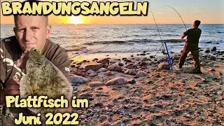 Brandungsangeln an der Ostsee im Sommer 2022 mit Erfolg.  Dorsch,Scholle und Co