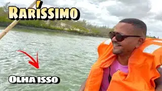 Poucos Já Viram Isso: Cavalo-Marinho em Seu Habitat em Jericoacoara
