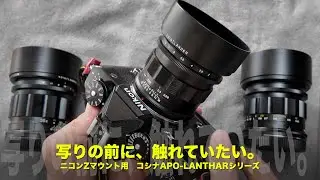 写りの前に、設計思想があるコシナ APO-LANTHAR Z｜ニコンZマウント最適化光学系と“撮る道具”としての魅力【作例なし】