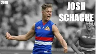 Josh Schache 2019 Highlight Reel