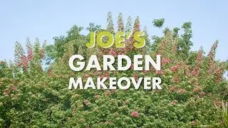 Sun Joe Garden Makeover: Two Steps to Landscaping Success!