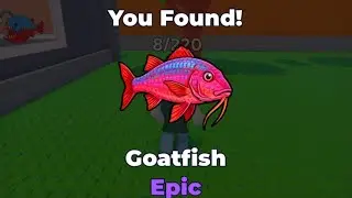 Find the Fish - Where to Find the Goatfish (Roblox)