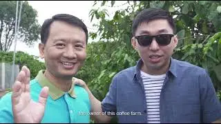 GOOD LEAF ASHITABA COFFEE BENEFITS
