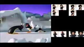 Pingu Disco
