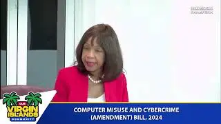 Lorna Smith OBE, Computer Misuse and Cybercrime Amendment Bill, 2024 - OVIC