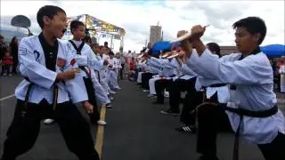 Crowne Hill Demo Hammerfist Break