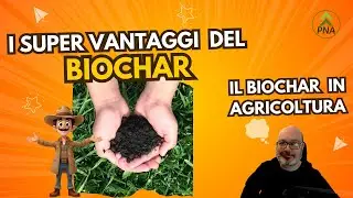 Il Biochar: vantaggi incredibili per suolo e piante
