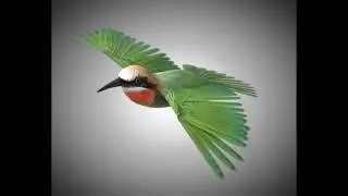3D Model Bee Eater PBR Bird Rigged Low poly at 3DExport.com