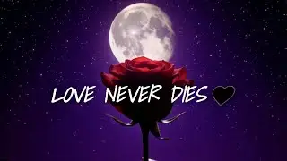 Love Never Dies  | Emotional Dark Pop (Lyrics)