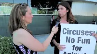 Circus protest. Last Chance for Animals.