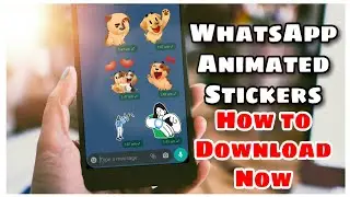 WhatsApp Animated Stickers Update | Download WhatsApp Animated Stickers #WhatsAppAnimatedStickers