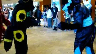 Umbreon and Luxray Battle at NDK 2011