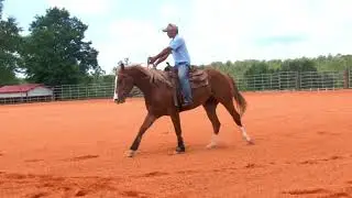 colt2016