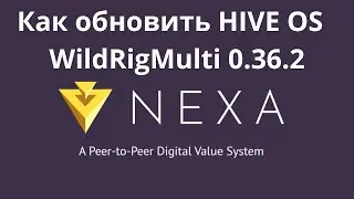 Как обновить майнер WildRigMulti на Hive OS для монеты NEXA