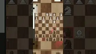 Creative Chess Calculations