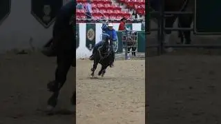 Heel shot!! #roping #heeler #teamroping #rodeo #fyp #xybca #horses #shorts
