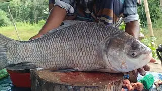 Local Market Fish Cutting ASMR | Big Fish Perfect Cleaning & Cutting Skills Video