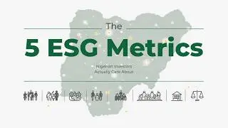 The 5 ESG Metrics Nigerian Investors Actually Care About