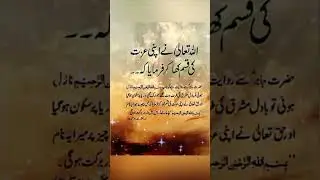 Islamic Motivation Quotes | Heart Touching Words #hazrataliwisdom #islamicquotes #poetry