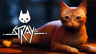 Macskázzunk |Stray #1