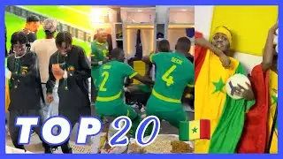 Les Meilleures Vidéos De La Semaine W3