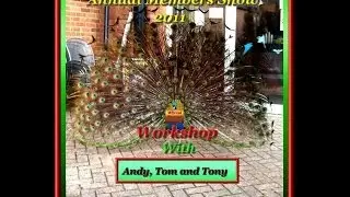 2011 Tony, Andy and Tom doing a Small Bonsai Workshop At W B S Members Annual Bonsai Show