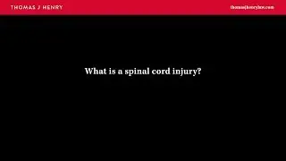 What is a Spinal Cord Injury?