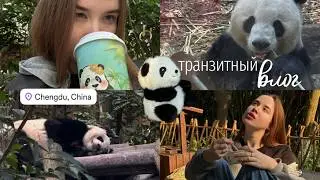 Чэнду | выход в город на транзите | влог