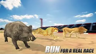 Wild Animal Racing Fever : Lion Vs Wild Boar, Wolf Full Fight Race