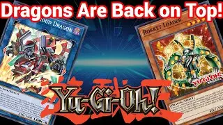 2 Link 5's! Dragon Link is Back! | A Quick Guide to Rokket (Dragon Link) For Master Duel! |