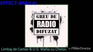 EFFECT-BRAILA!