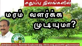 சதுப்பு நிலங்கள், களர் மற்றும் உவர் நிலங்களில் மரம் வளர்ப்பு ஆலோசனைகள் 🌱 பிரிட்டோராஜ்🌱9944450552