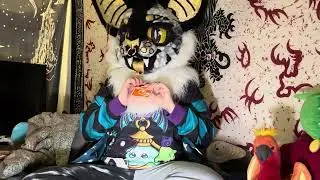 What is a Fursuit Badge?
