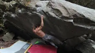 Intermezzo 7C: Magic Wood