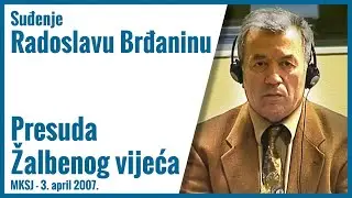 Radoslav Brđanin - Žalbena presuda, 3. april 2007.