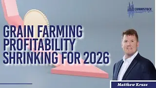 Рентабельность зернового земледелия снизится к 2026 году.