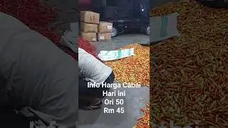 info harga cabai rawit hari ini di Jawa tengah #trending  #viralvideo #shorts