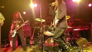 Mikell's Plot - The Green House (LIVE)
