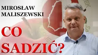 Jakie odmiany jabłoni sadzić?